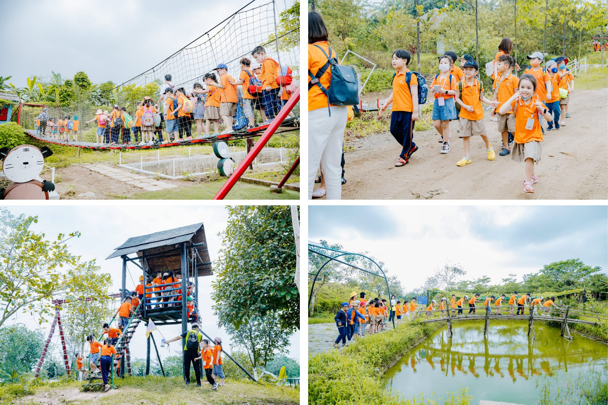 Chuyến đi phủ đầy màu xanh của thiên nhiên tại vườn Ong Vàng